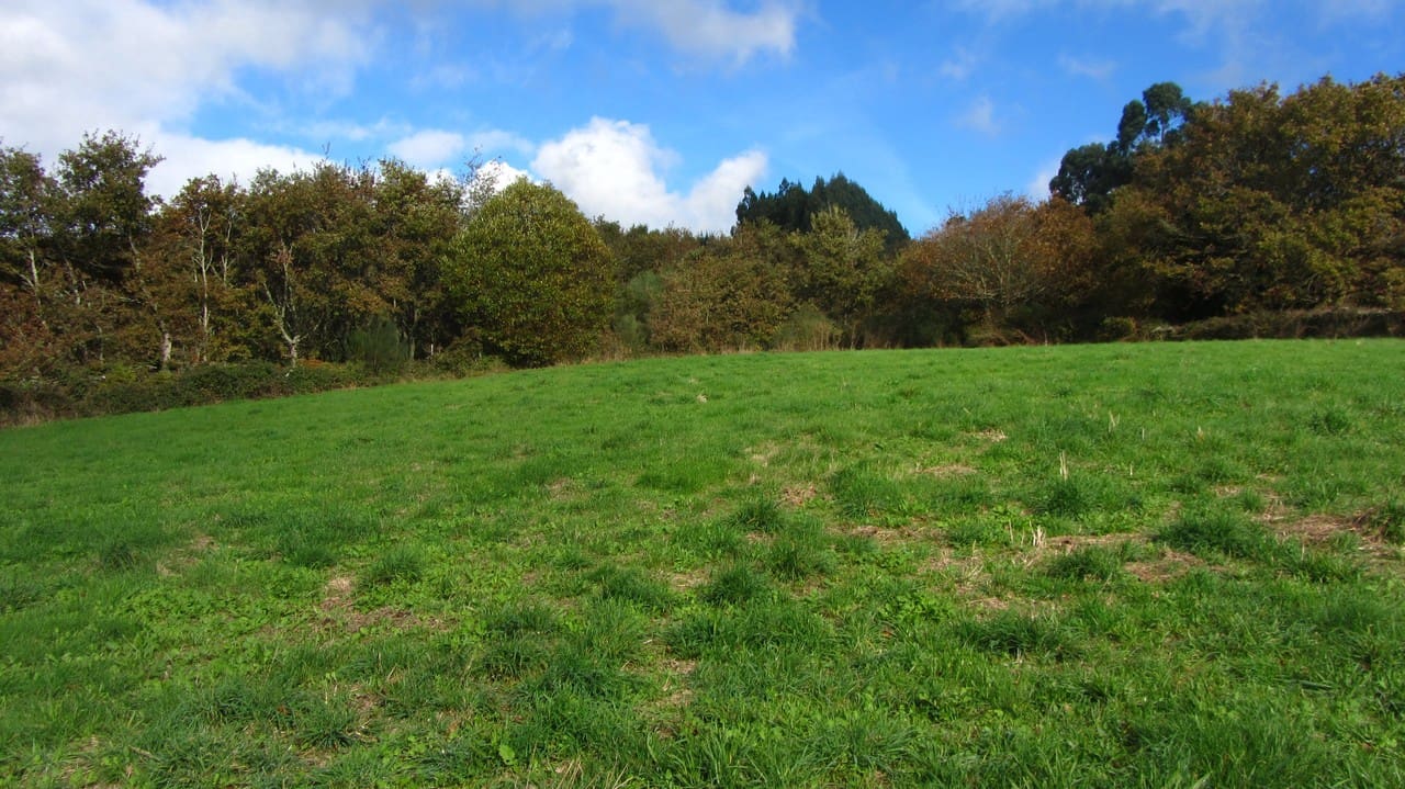 3 soveværelse Finca/Landehus til salg i Taboada med garage - € 60.000 (Ref: 8267335)