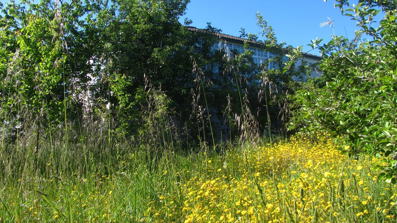 5 soveværelse Finca/Landehus til salg i O Savinao - € 130.000 (Ref: 8317358)