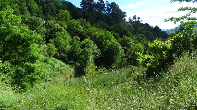 6 sovrum Finca/Hus på landet till salu i Pantón - 99 000 € (Ref: 8333138)