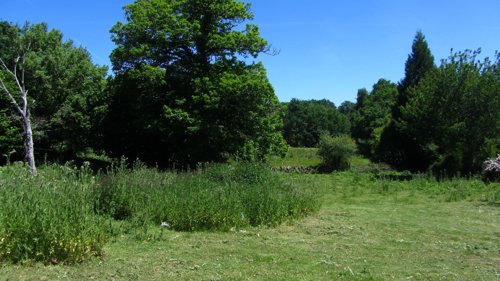 2 slaapkamer Finca/Landhuis te koop in Panton met garage - € 55.000 (Ref: 8351756)