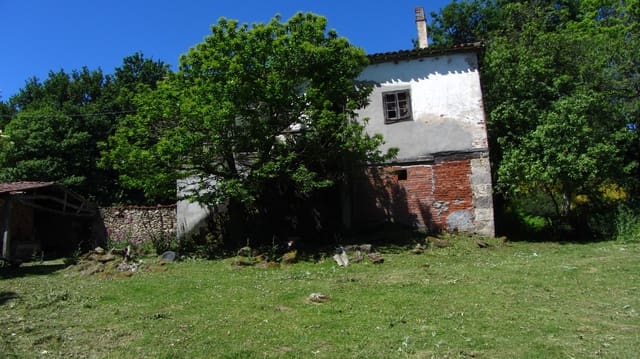 2 slaapkamer Finca/Landhuis te koop in Pantón met garage - € 55.000 (Ref: 8351756)