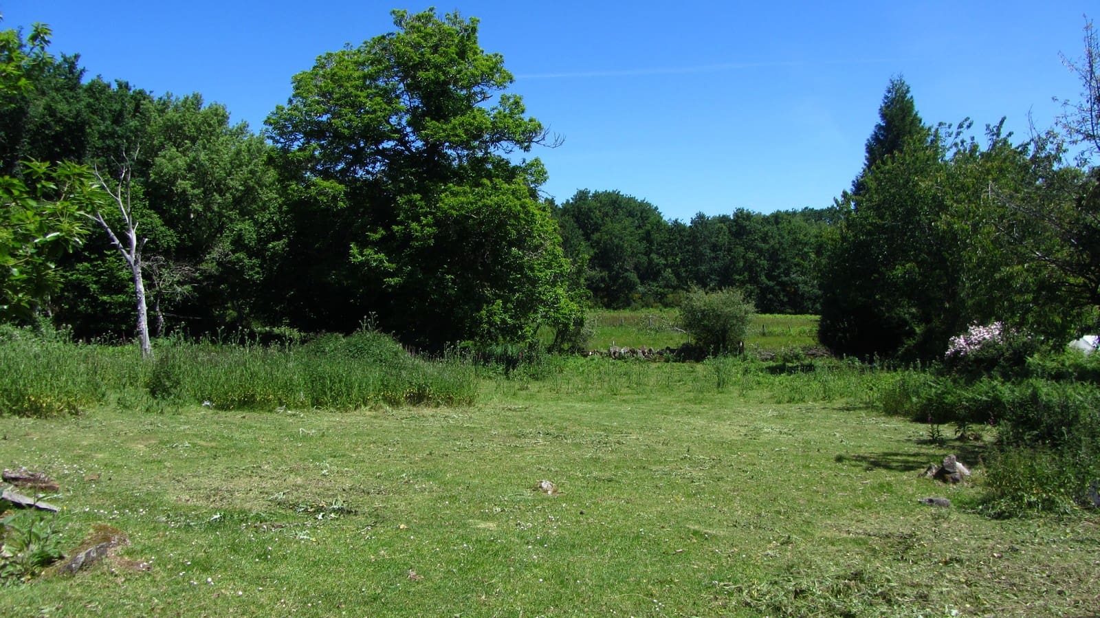 2 slaapkamer Finca/Landhuis te koop in Panton met garage - € 55.000 (Ref: 8351756)