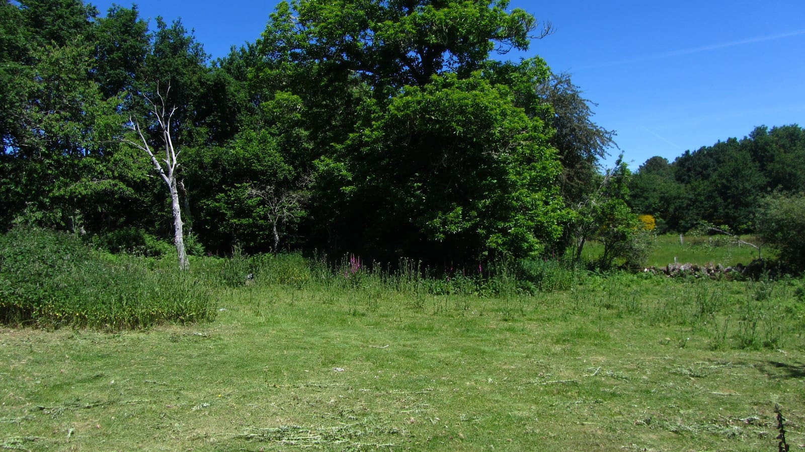 2 slaapkamer Finca/Landhuis te koop in Panton met garage - € 55.000 (Ref: 8351756)