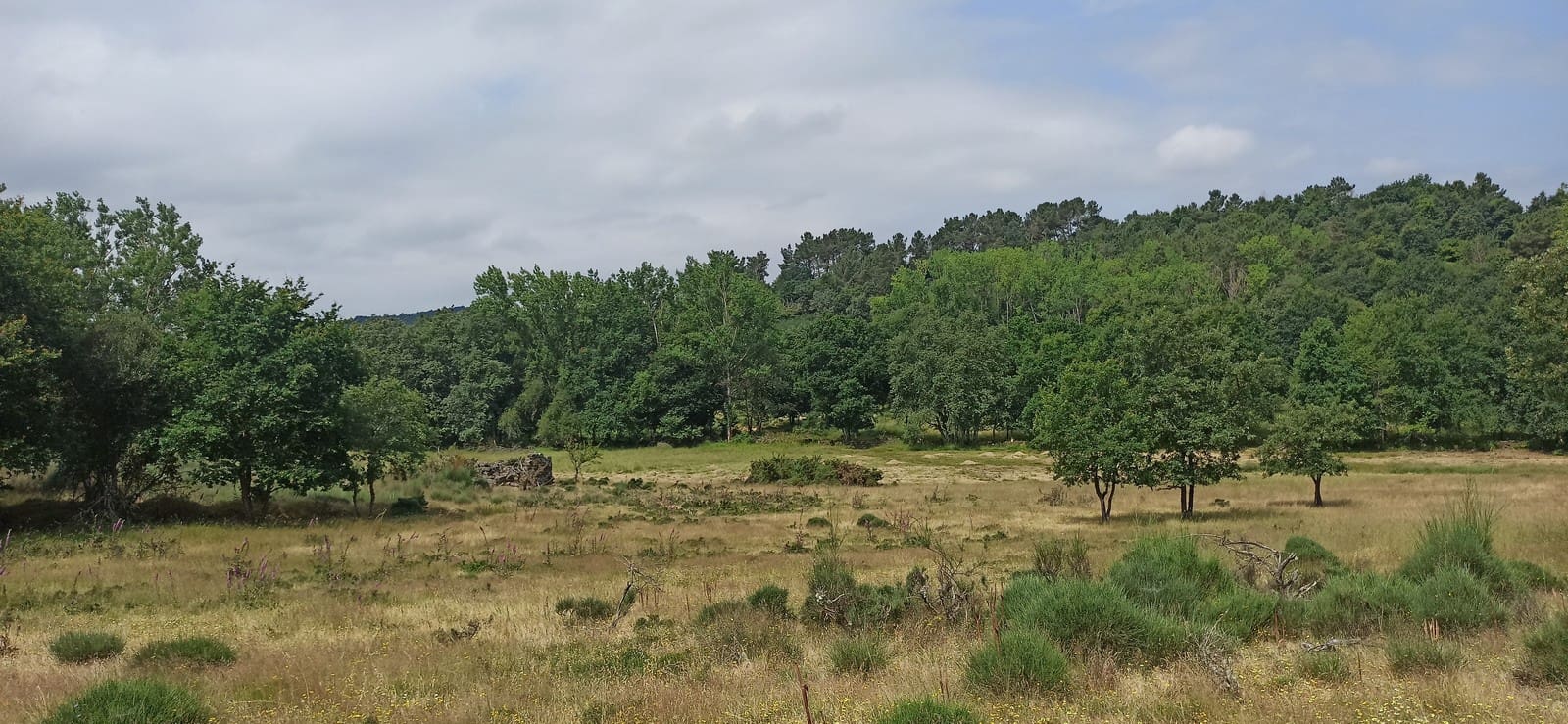 Grunde uden byggetilladelser til salg i Panton - € 60.000 (Ref: 8404317)