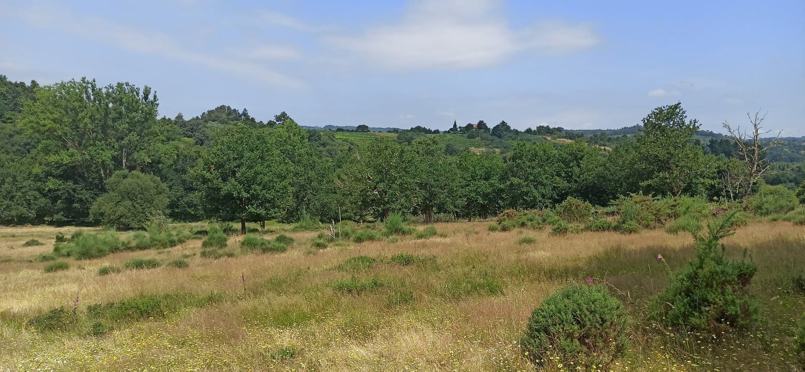 Grunde uden byggetilladelser til salg i Panton - € 60.000 (Ref: 8404317)