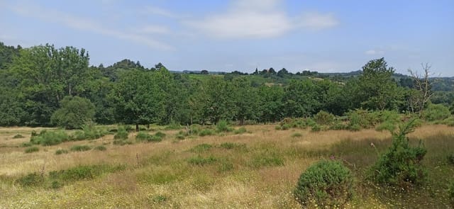 Teren niezagospodarowany na sprzedaż w Pantón - 60 000 € (Ref: 8404317)