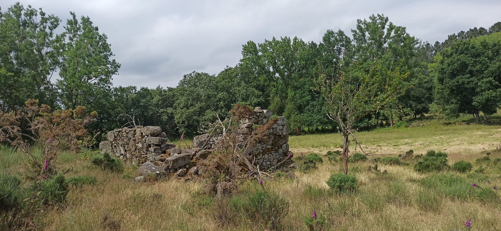 Grunde uden byggetilladelser til salg i Panton - € 60.000 (Ref: 8404317)