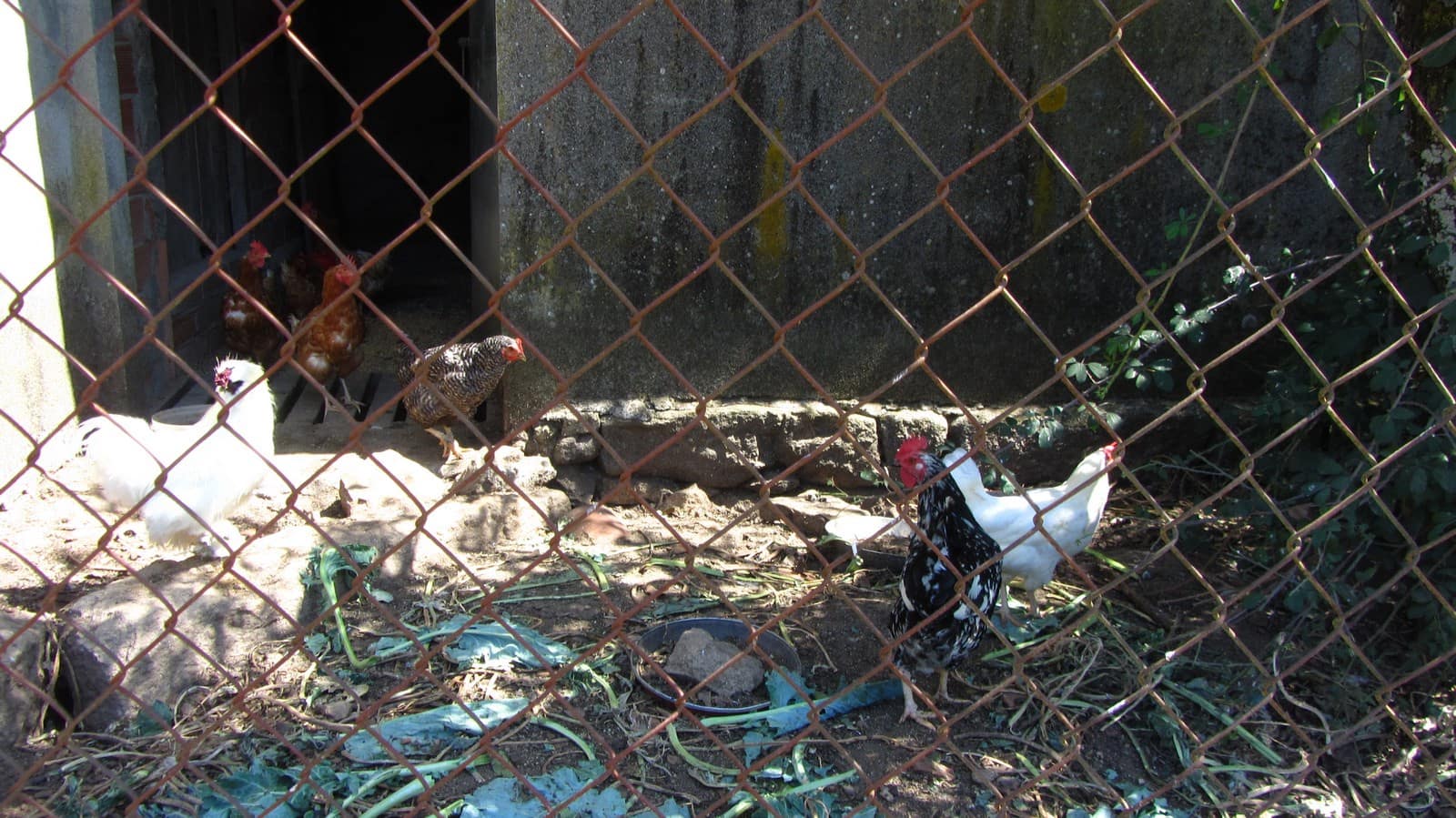 4 sypialnia Finka/Dom wiejski na sprzedaż w Antas de Ulla z garażem - 85 000 € (Ref: 8493167)