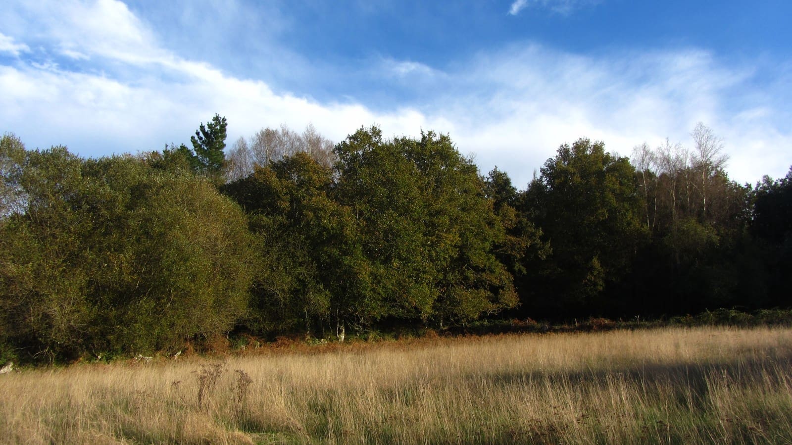 3 soveværelse Finca/Landehus til salg i Monterroso med garage - € 105.000 (Ref: 8669487)