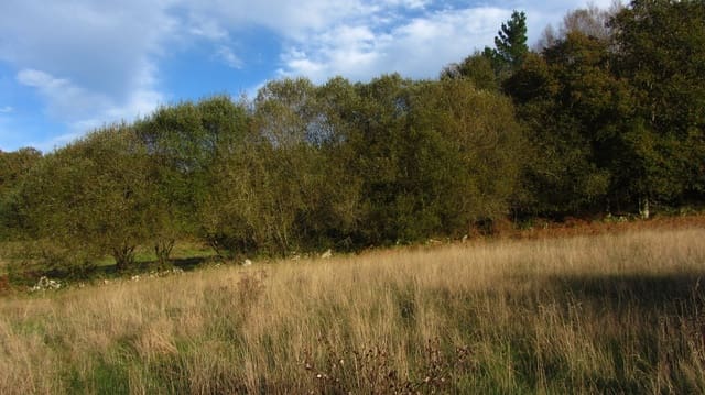 3 makuuhuone Maalaistalo myytävänä paikassa Monterroso mukana 
autotalli - 105 000 € (Ref: 8669487)