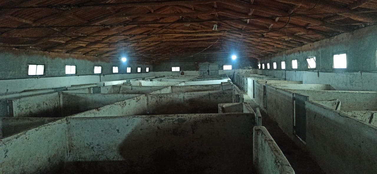 7 soveværelse Finca/Landehus til salg i Boveda med garage - € 310.000 (Ref: 8675302)