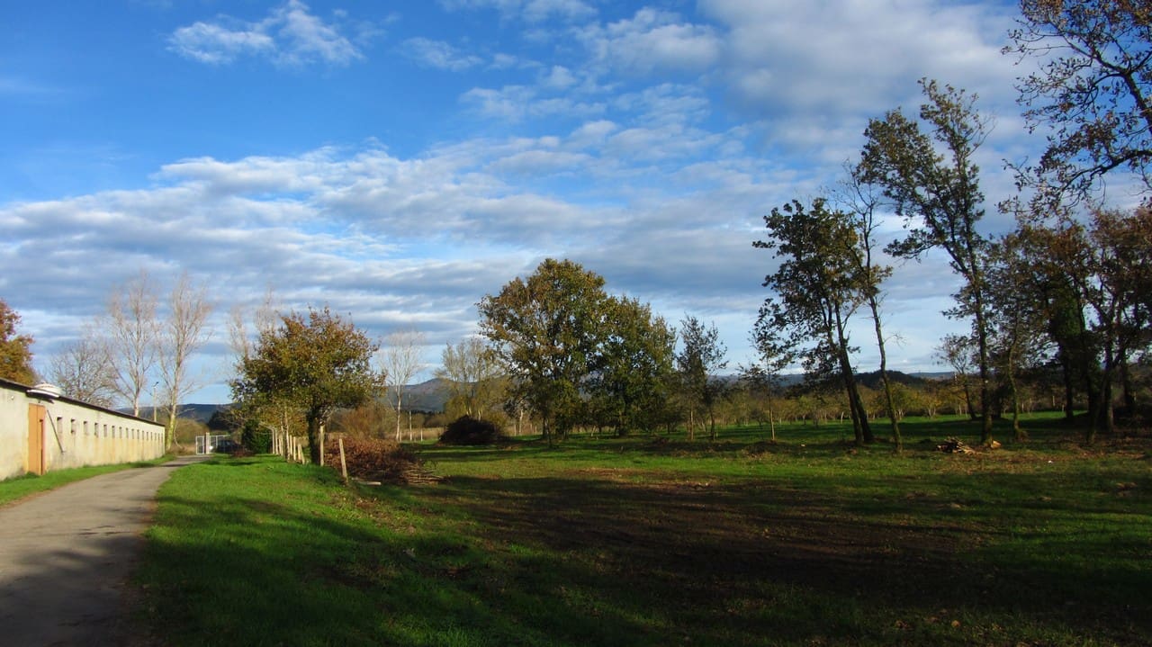 7 soveværelse Finca/Landehus til salg i Boveda med garage - € 310.000 (Ref: 8675302)