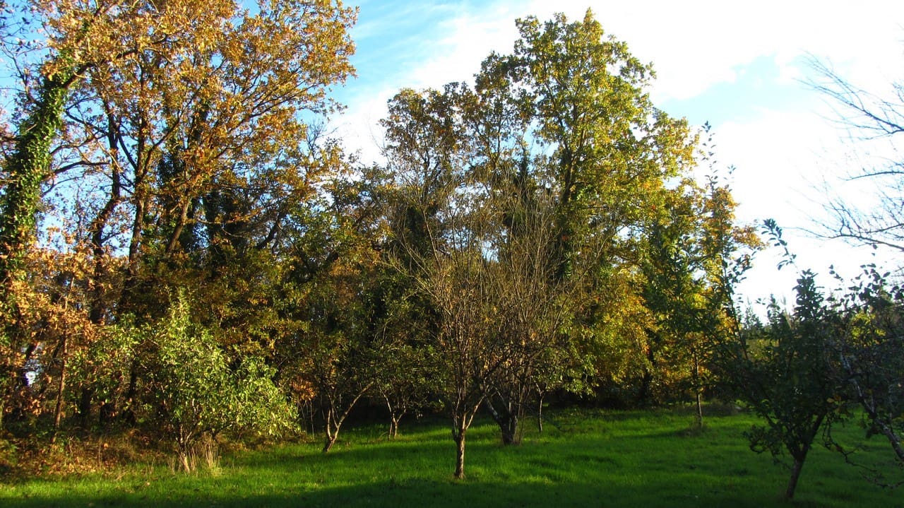 7 soveværelse Finca/Landehus til salg i Boveda med garage - € 310.000 (Ref: 8675302)