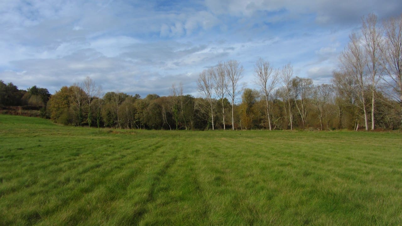 Finca/Herregård til salgs i Panton - € 140 000 (Ref: 8688200)