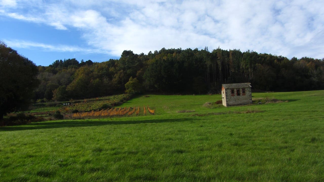 Finca/Herregård til salgs i Panton - € 140 000 (Ref: 8688200)