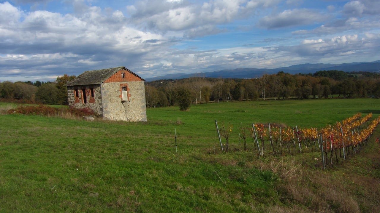 Finca/Herregård til salgs i Panton - € 140 000 (Ref: 8688200)