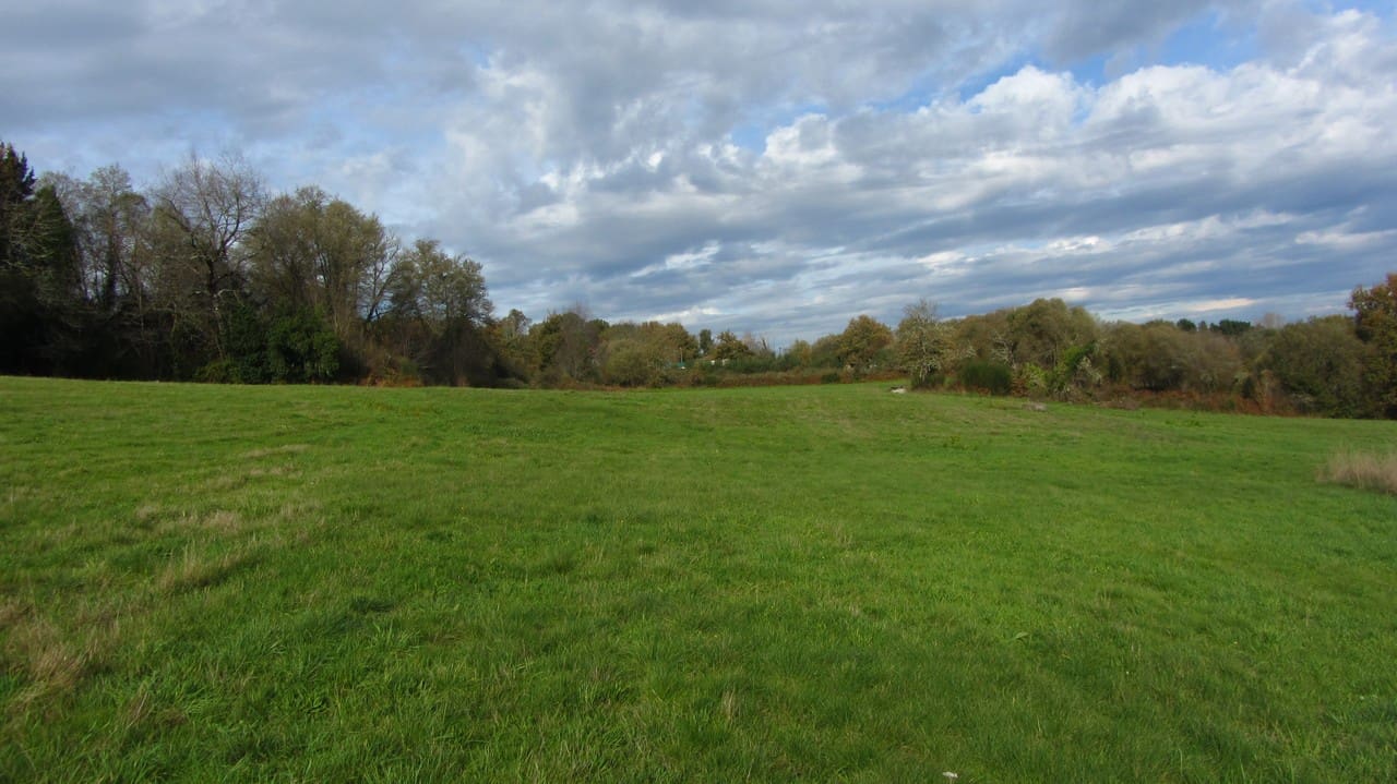 Finca/Herregård til salgs i Panton - € 140 000 (Ref: 8688200)