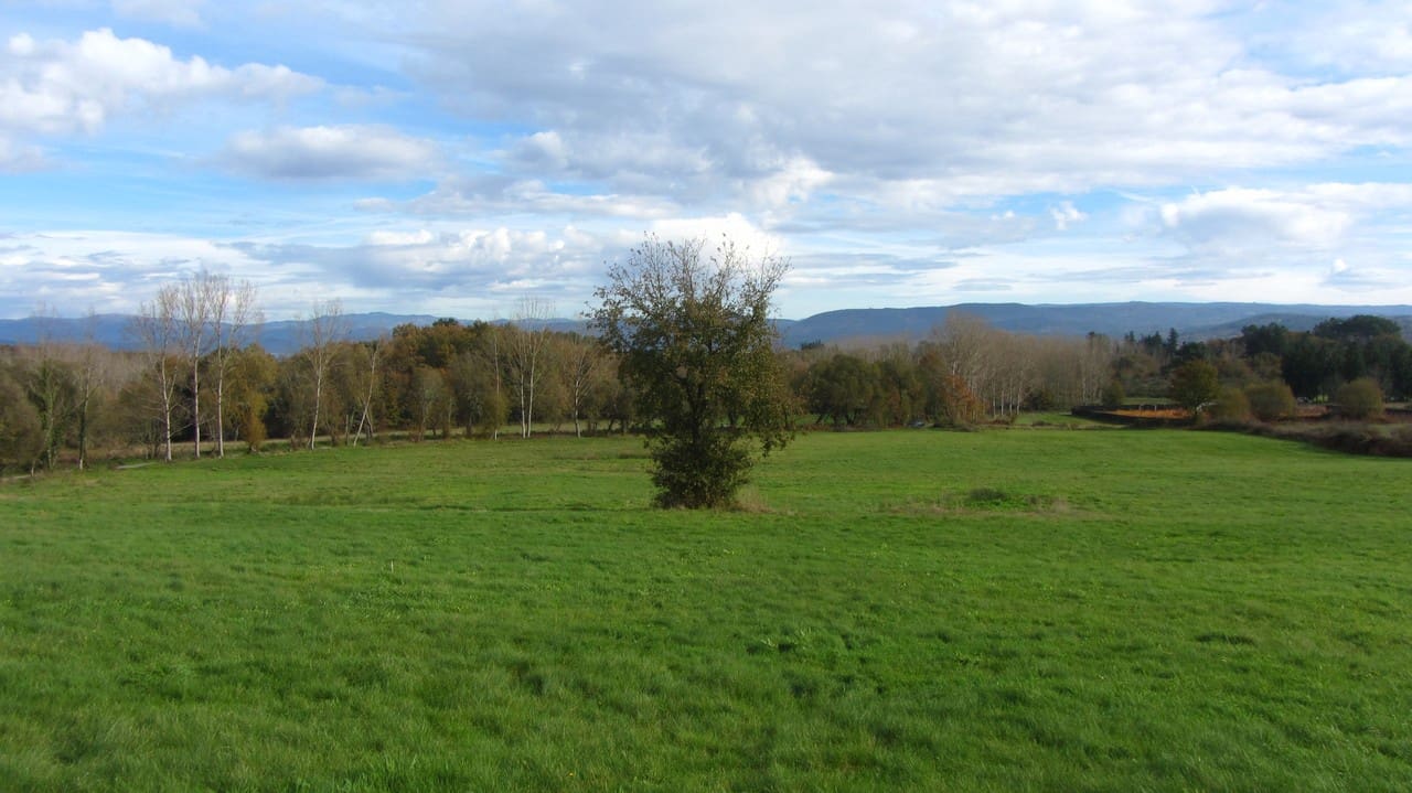 Finca/Herregård til salgs i Panton - € 140 000 (Ref: 8688200)