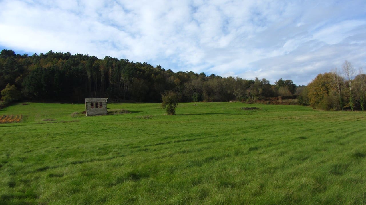 Finca/Herregård til salgs i Panton - € 140 000 (Ref: 8688200)