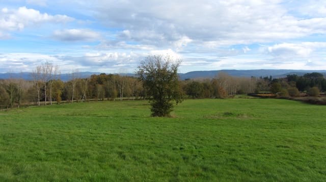 Finca/Landhuis te koop in Pantón - € 140.000 (Ref: 8688200)