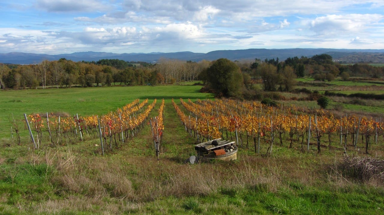 Finca/Herregård til salgs i Panton - € 140 000 (Ref: 8688200)