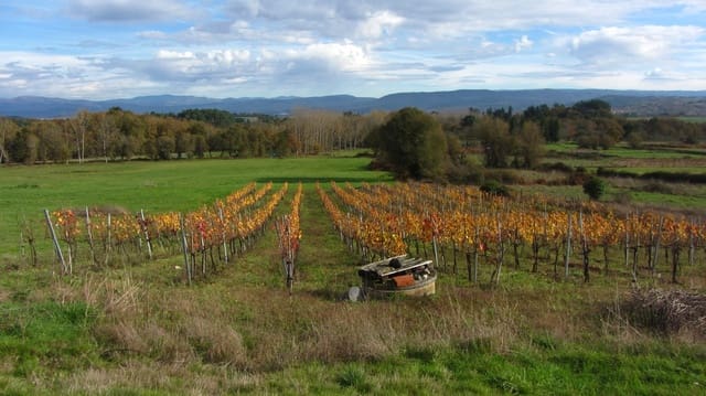 Finca/Landhuis te koop in Pantón - € 140.000 (Ref: 8688200)