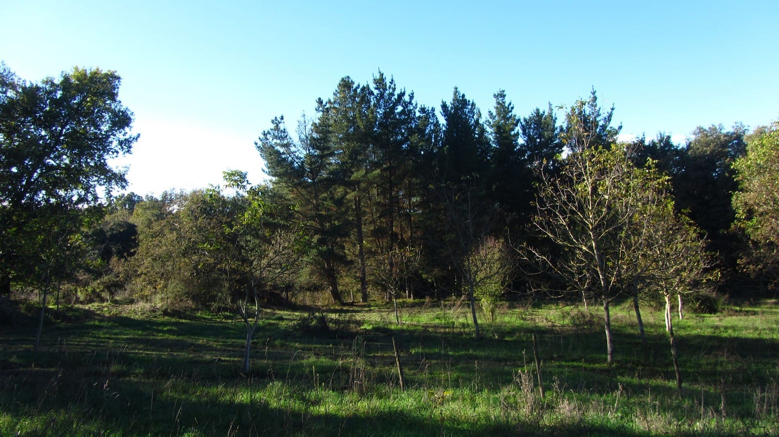 Finca/Maison de Campagne à vendre à Chantada - 75 000 € (Ref: 8701507)