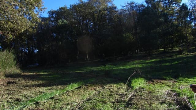 Finca/Hus på landet till salu i Chantada - 75 000 € (Ref: 8701507)