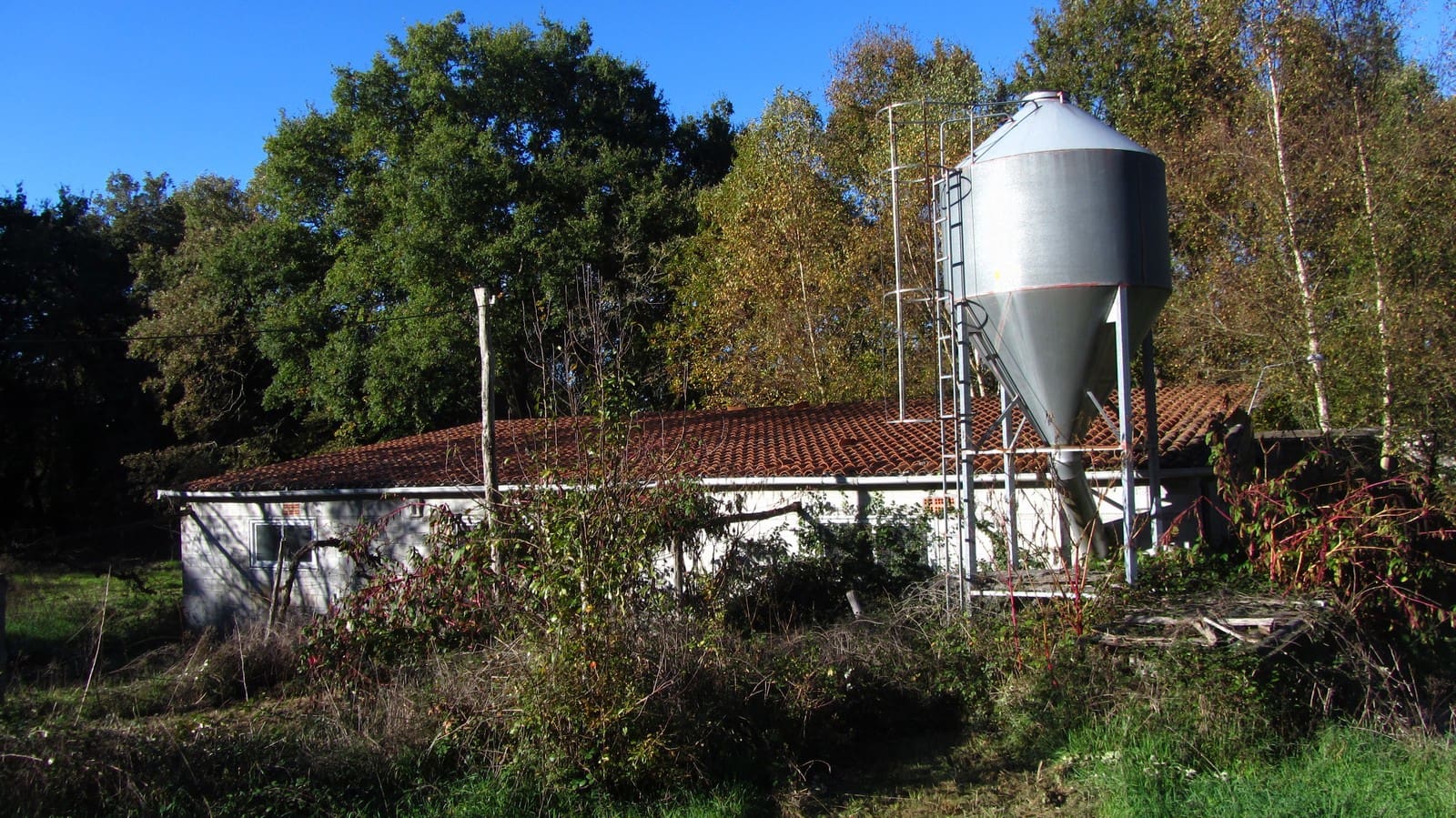 Finca/Maison de Campagne à vendre à Chantada - 75 000 € (Ref: 8701507)