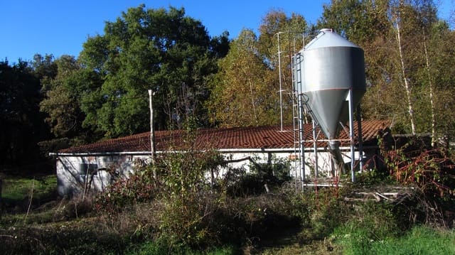 Finca/Hus på landet till salu i Chantada - 75 000 € (Ref: 8701507)