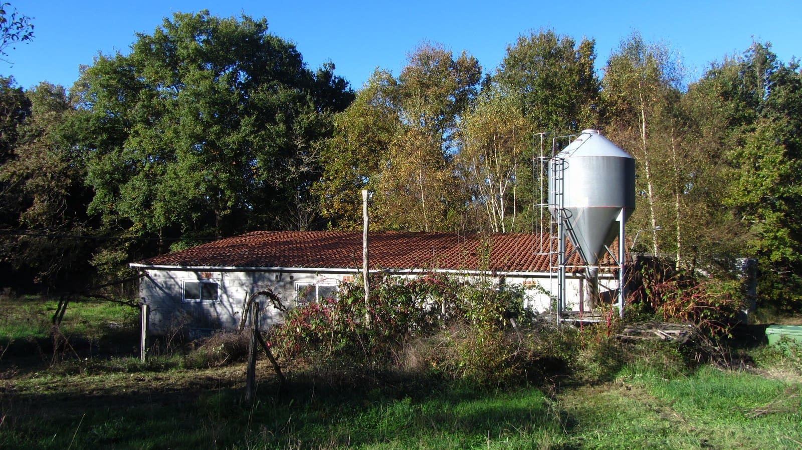 Finca/Maison de Campagne à vendre à Chantada - 75 000 € (Ref: 8701507)