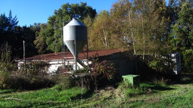 Finca/Hus på landet till salu i Chantada - 75 000 € (Ref: 8701507)