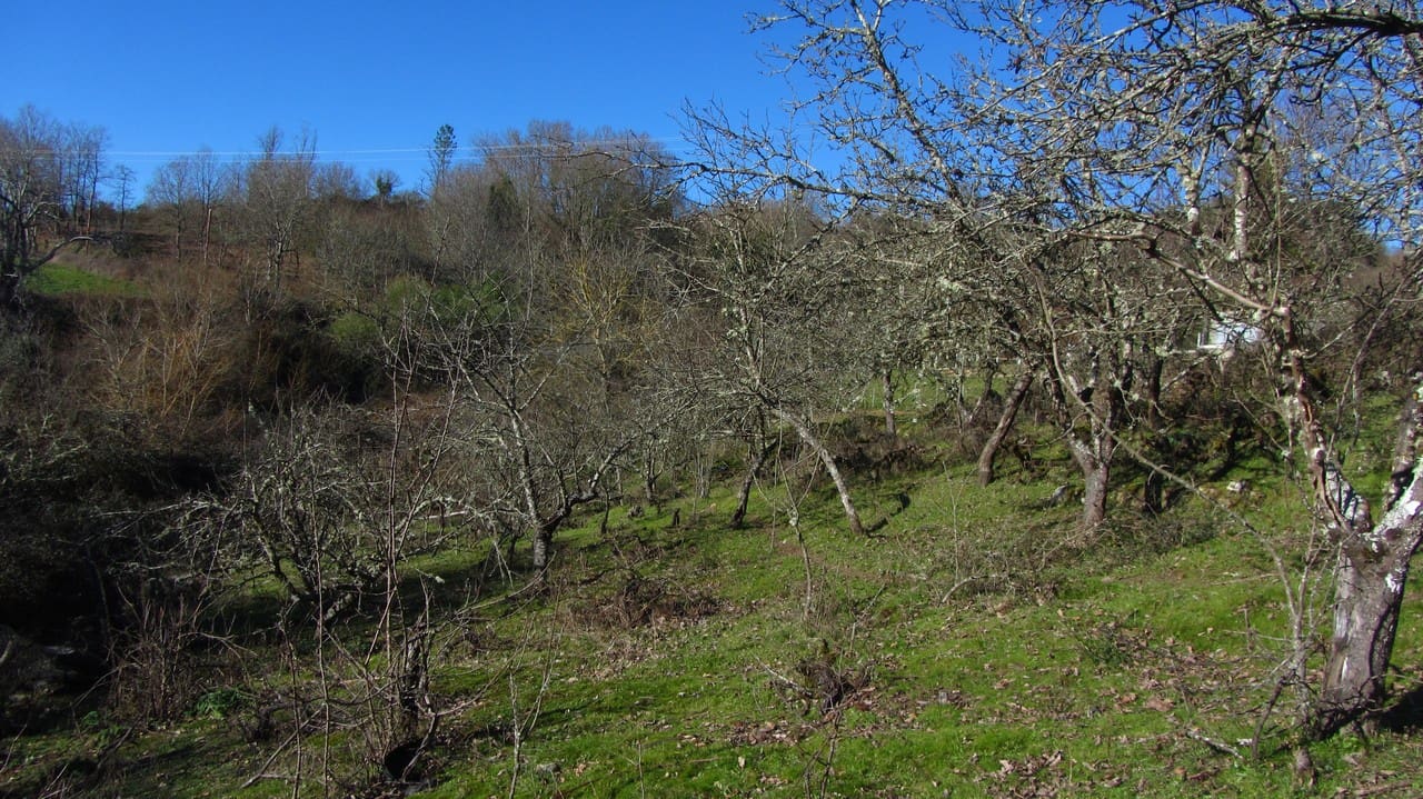 1 bedroom Finca/Country House for sale in Taboada - € 25,000 (Ref: 8785858)