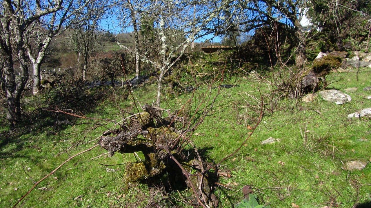 1 bedroom Finca/Country House for sale in Taboada - € 25,000 (Ref: 8785858)