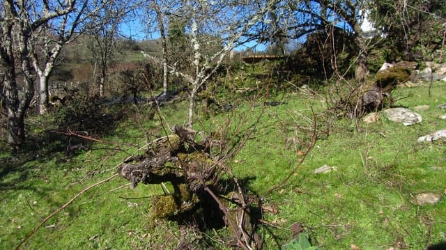 1 soverom Finca/Herregård til salgs i Taboada - € 25 000 (Ref: 8785858)