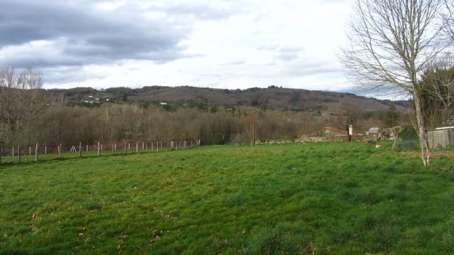 6 slaapkamer Finca/Landhuis te koop in Pantón - € 178.000 (Ref: 8840245)