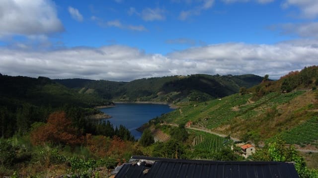 1 slaapkamer Finca/Landhuis te koop in O Saviñao - € 130.000 (Ref: 8878667)