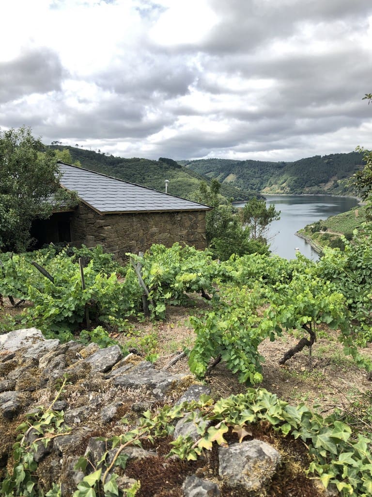 1 slaapkamer Finca/Landhuis te koop in O Savinao - € 130.000 (Ref: 8878667)