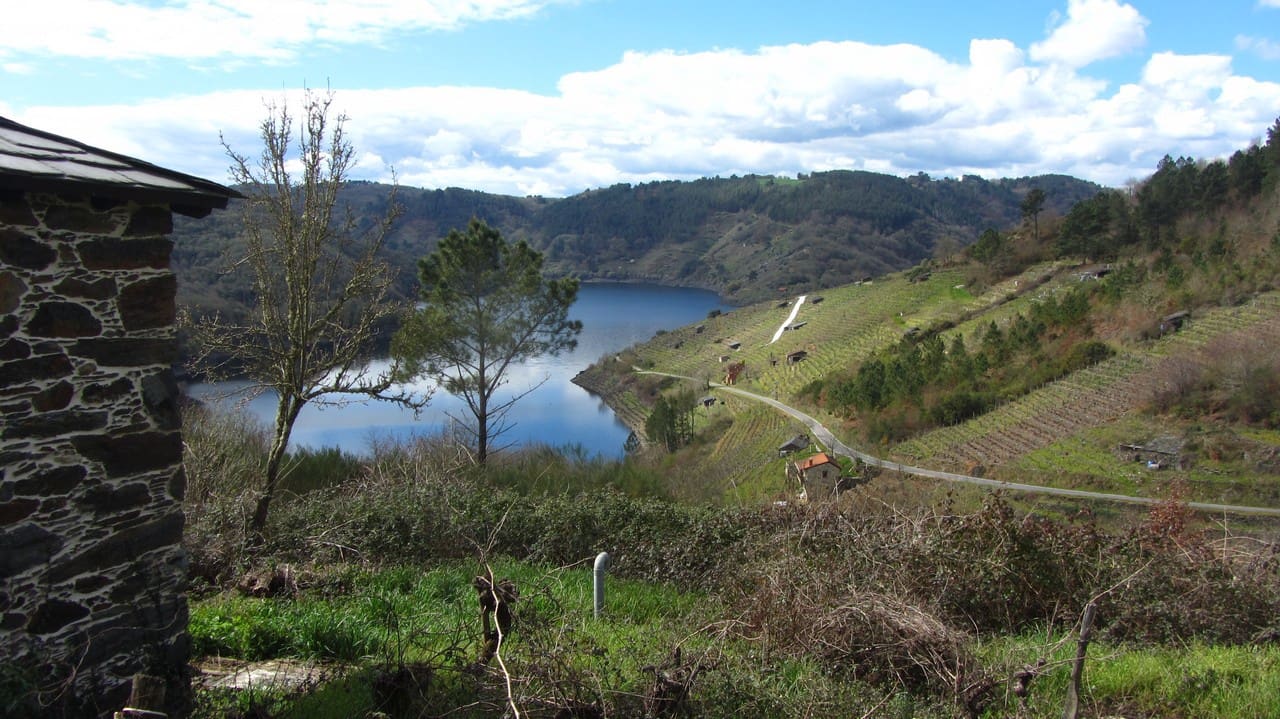 1 slaapkamer Finca/Landhuis te koop in O Savinao - € 130.000 (Ref: 8878667)