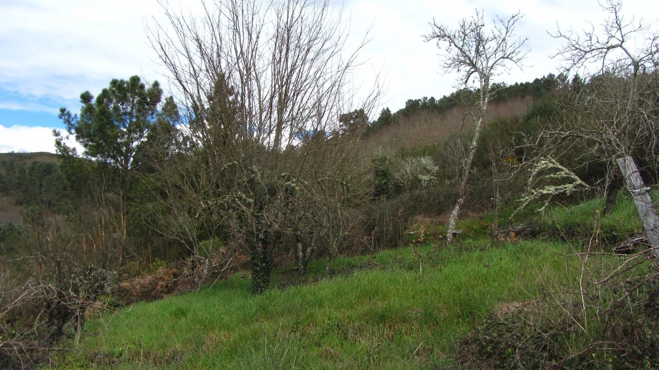 1 slaapkamer Finca/Landhuis te koop in O Savinao - € 130.000 (Ref: 8878667)