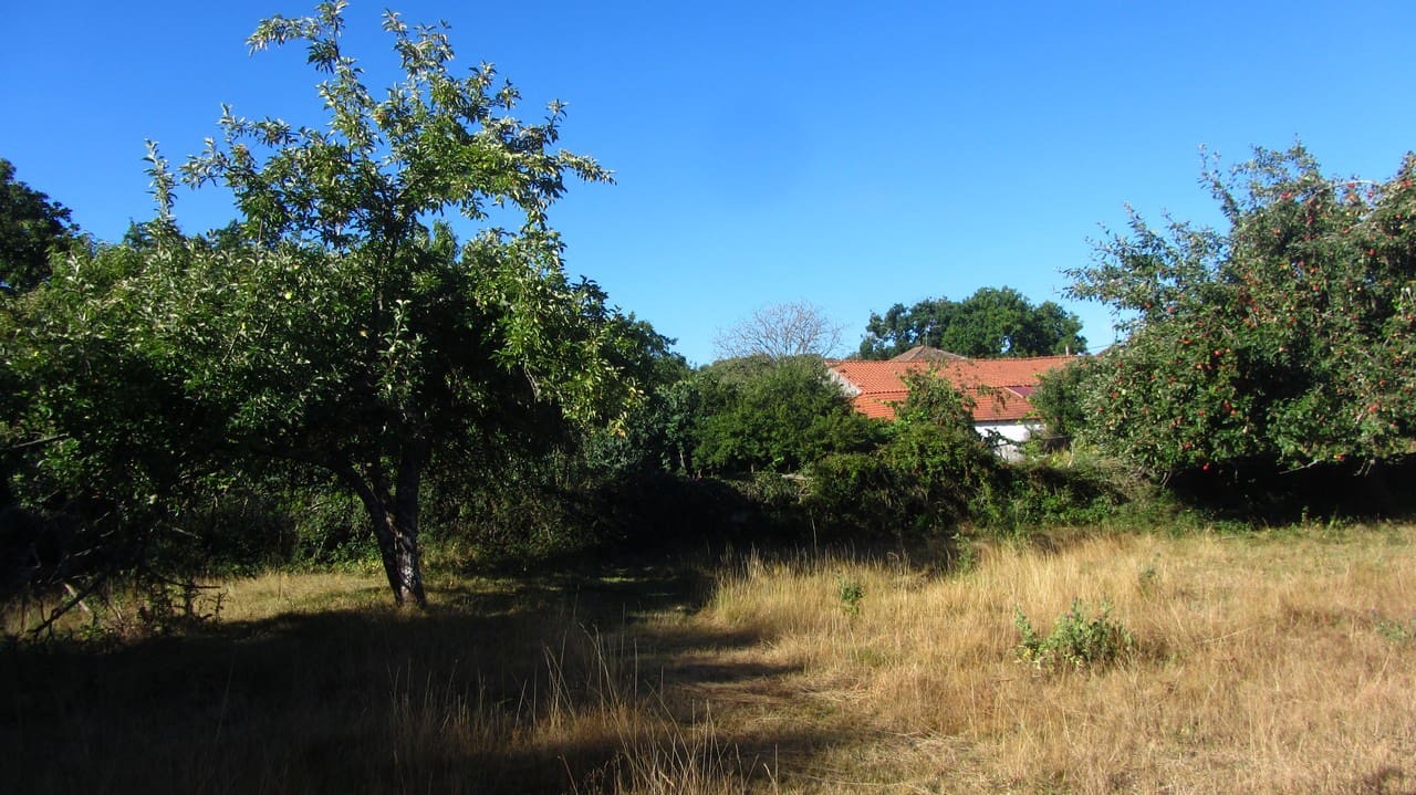 3 quarto Quinta/Casa Rural para venda em O Savinao - 47 000 € (Ref: 8915786)