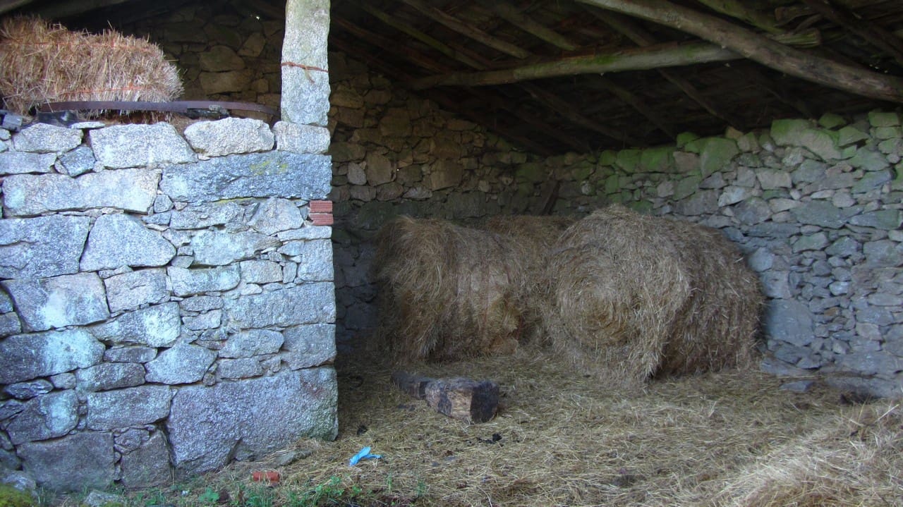 3 quarto Quinta/Casa Rural para venda em O Savinao - 47 000 € (Ref: 8915786)