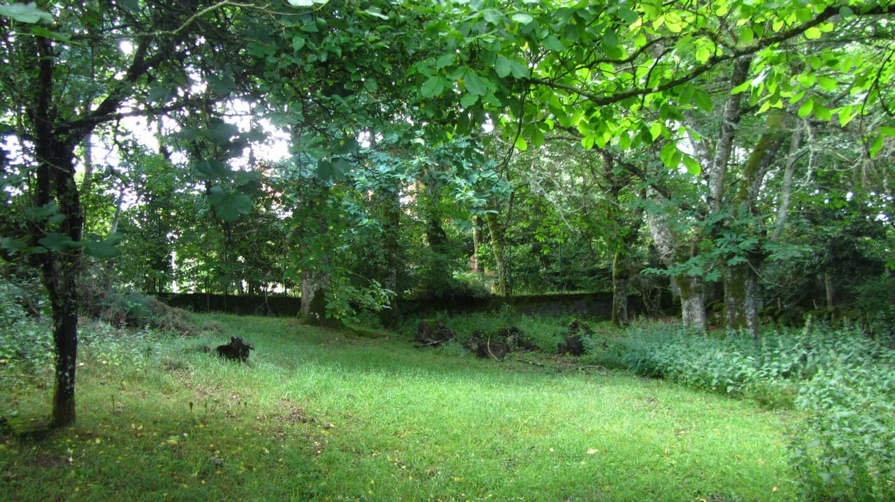 3 quarto Quinta/Casa Rural para venda em O Savinao - 47 000 € (Ref: 8915786)