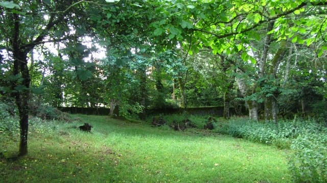 3 camera da letto Finca/Casa di Campagna in vendita in O Saviñao - 47.000 € (Rif: 8915786)