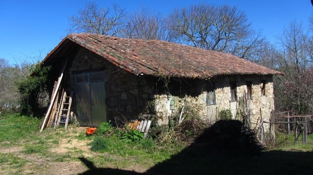 Finca/Landhuis te koop in Pantón - € 39.000 (Ref: 8920402)