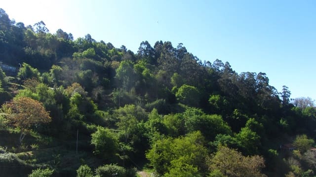 6 bedroom Finca/Country House for sale in Pantón - € 23,000 (Ref: 8983710)