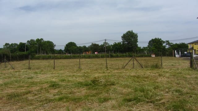 4 bedroom Business for sale in Monforte de Lemos with garage - € 315,000 (Ref: 9072883)