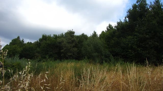 3 sovrum Finca/Hus på landet till salu i Monforte de Lemos - 15 000 € (Ref: 9144566)