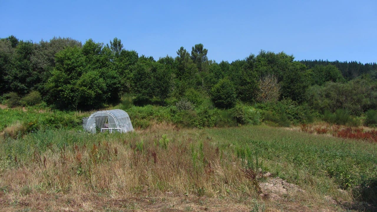 3 soveværelse Finca/Landehus til salg i Panton med garage - € 95.000 (Ref: 9163109)