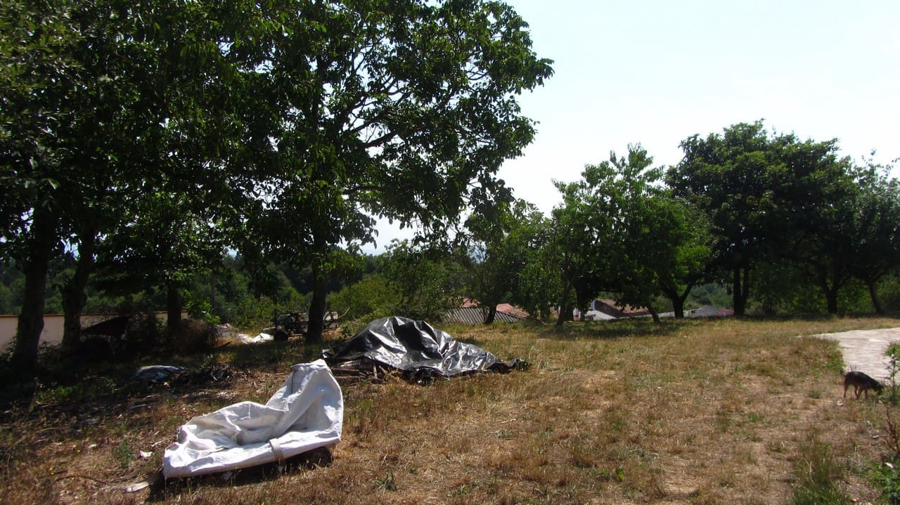 3 soveværelse Finca/Landehus til salg i Panton med garage - € 95.000 (Ref: 9163109)